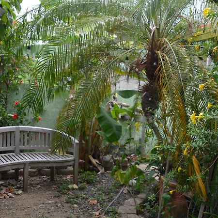 Palmetto Guesthouse Isla Culebra Eksteriør bilde