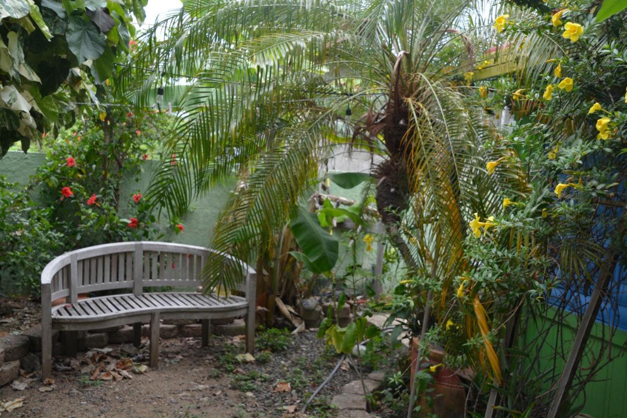Palmetto Guesthouse Isla Culebra Eksteriør bilde